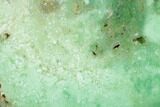 Polished Green Chrysoprase Slab - Western Australia #133057-1